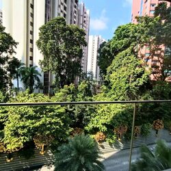 Far East Plaza (D9), Retail #504267751